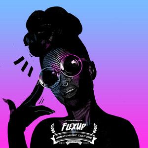 Dancehall - Shatta - Moombahton