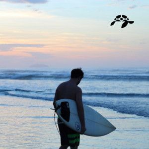 Instrumental Surf Music 🌊