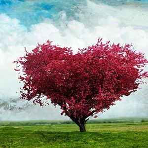 Canciones sobre amor