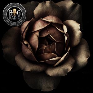 Indie In Bloom (2026)