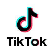 AMAPIANO 2026 TIKTOK - Davido - Shallipopi - Wizkid - Burna Boy - Rema - Arya Star - Dj Maphorisa