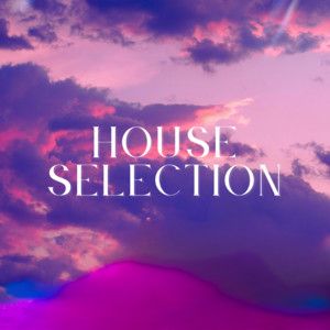 M4RIN - HOUSE SELECTION