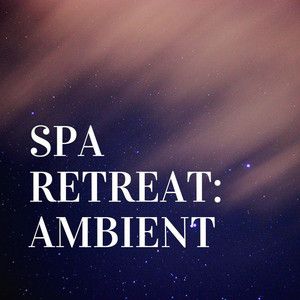 Spa Retreat: Ambient - Music for Sleep & Reiki