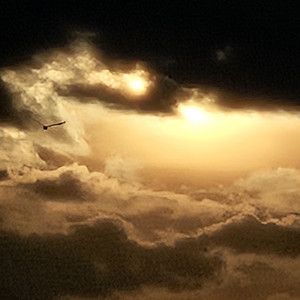Ogge's Playlist (Updated Weekly) (EDM)(No AI)