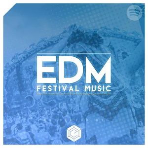 💎 EDM FESTIVAL MUSIC
