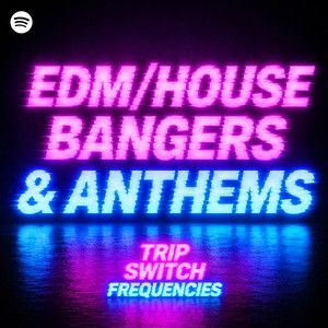 EDM / HOUSE BANGERS  &  ANTHEMS SUMMER  2026